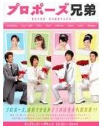 プロポーズ兄弟・生まれ順別 男が結婚する方法・ DVD-BOX激安値段：9000円 DVD購入したら全国送料無料